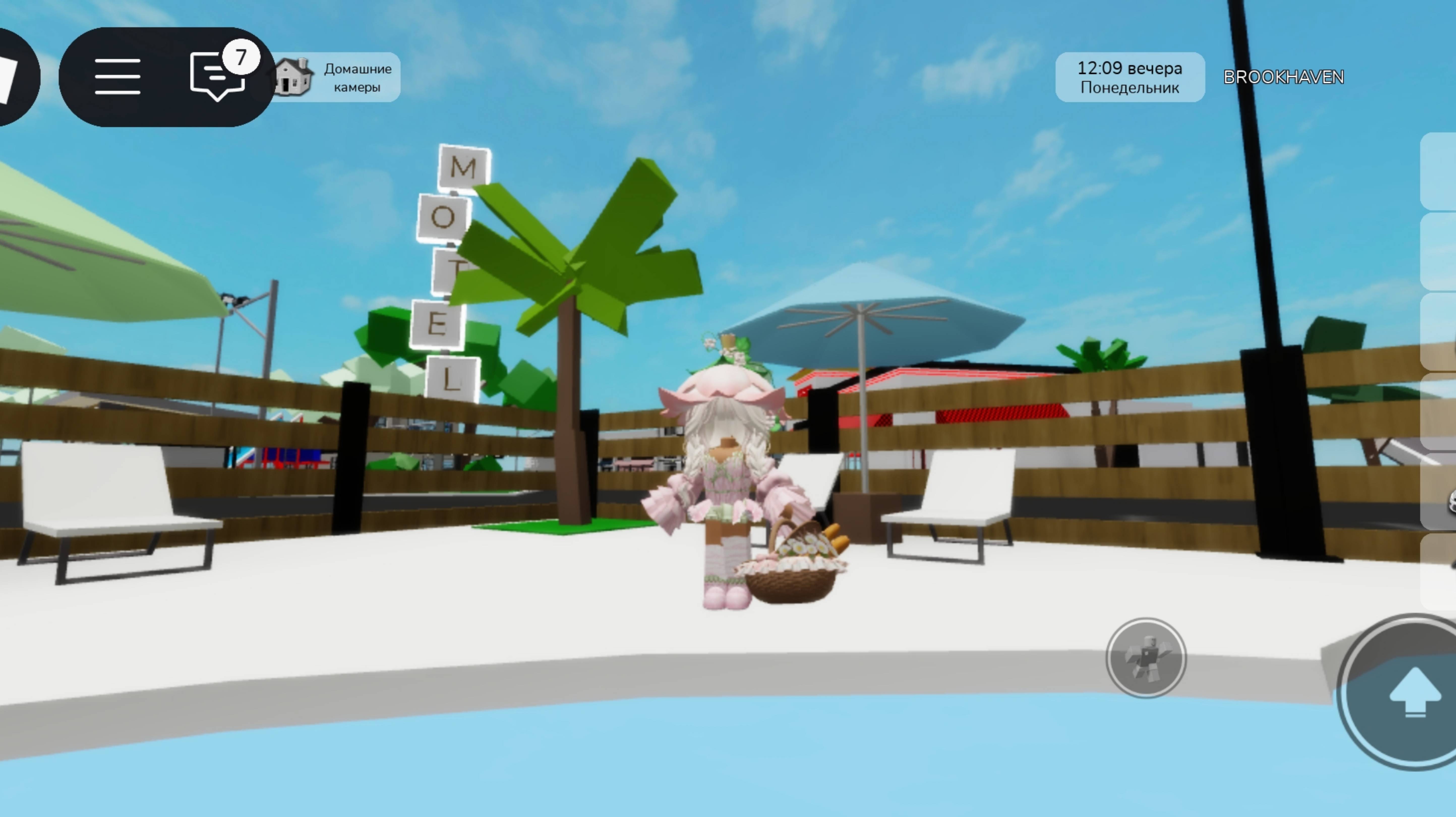 КОДЫ НА СКИН ДЕВОЧКИ ЦВЕТОЧКА В БРУК