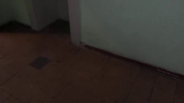 Музыкальные лифты КМЗ @ М.О. г. Химки, Юбилейный проспект, д. 5 (76)