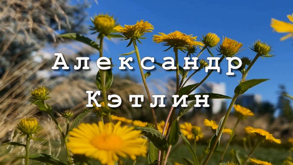 Александр Кэтлин, Вкус чудес. Музыка для души.