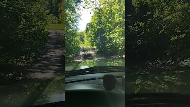 Дорога к роднику