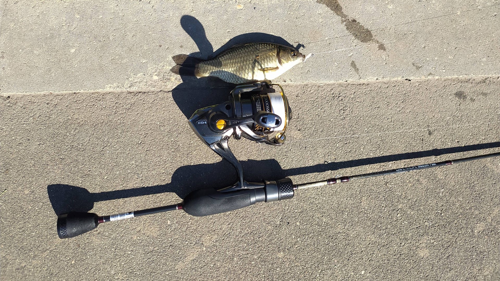 МОРМЫШИНГ. Пруды у метро Тютчевская, утром 25 мая 2025 года