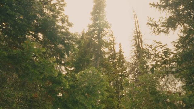 25. The one sentence that helped me love again