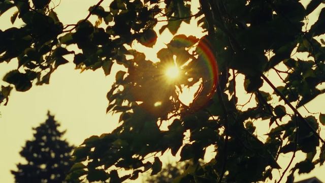 24. How to stop wasting your entire life