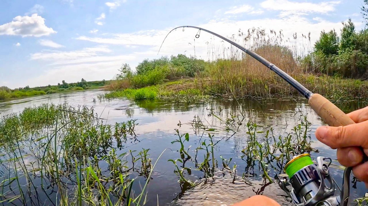 ТУТ ВСЁ В ТРАВЕ, РЫБА КЛЮЁТ и ДУША РАДУЕТСЯ! Рыбалка на реке, спиннинг в 2025