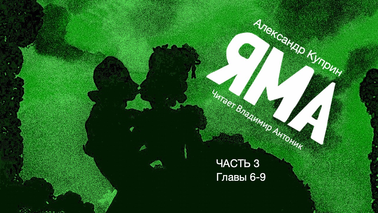 «Яма». А.И. Куприн. 18+. Часть 3. Главы 6-9. Аудиокнига. Читает Владимир Антоник.