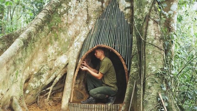 Приключения в джунглях.Убедище под деревом.