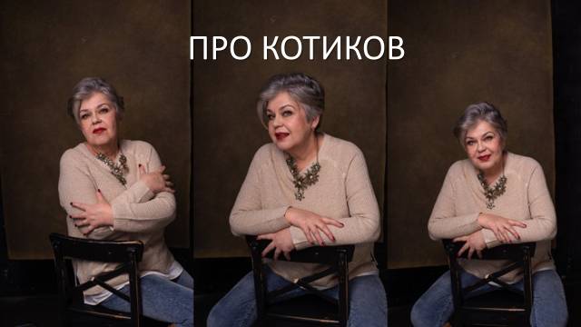 Про котиков