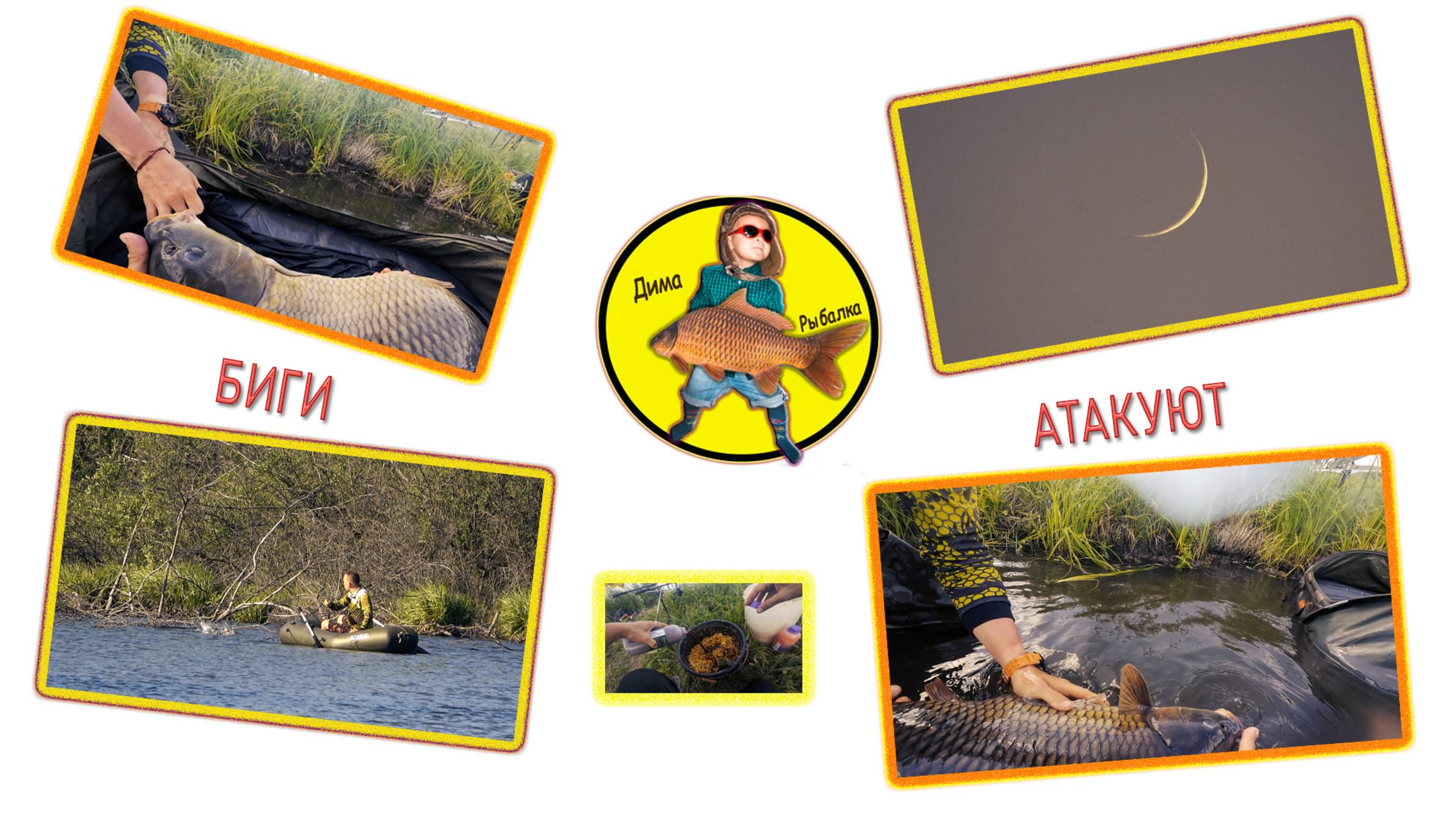 Подобрал корм и стнял огромных карпов