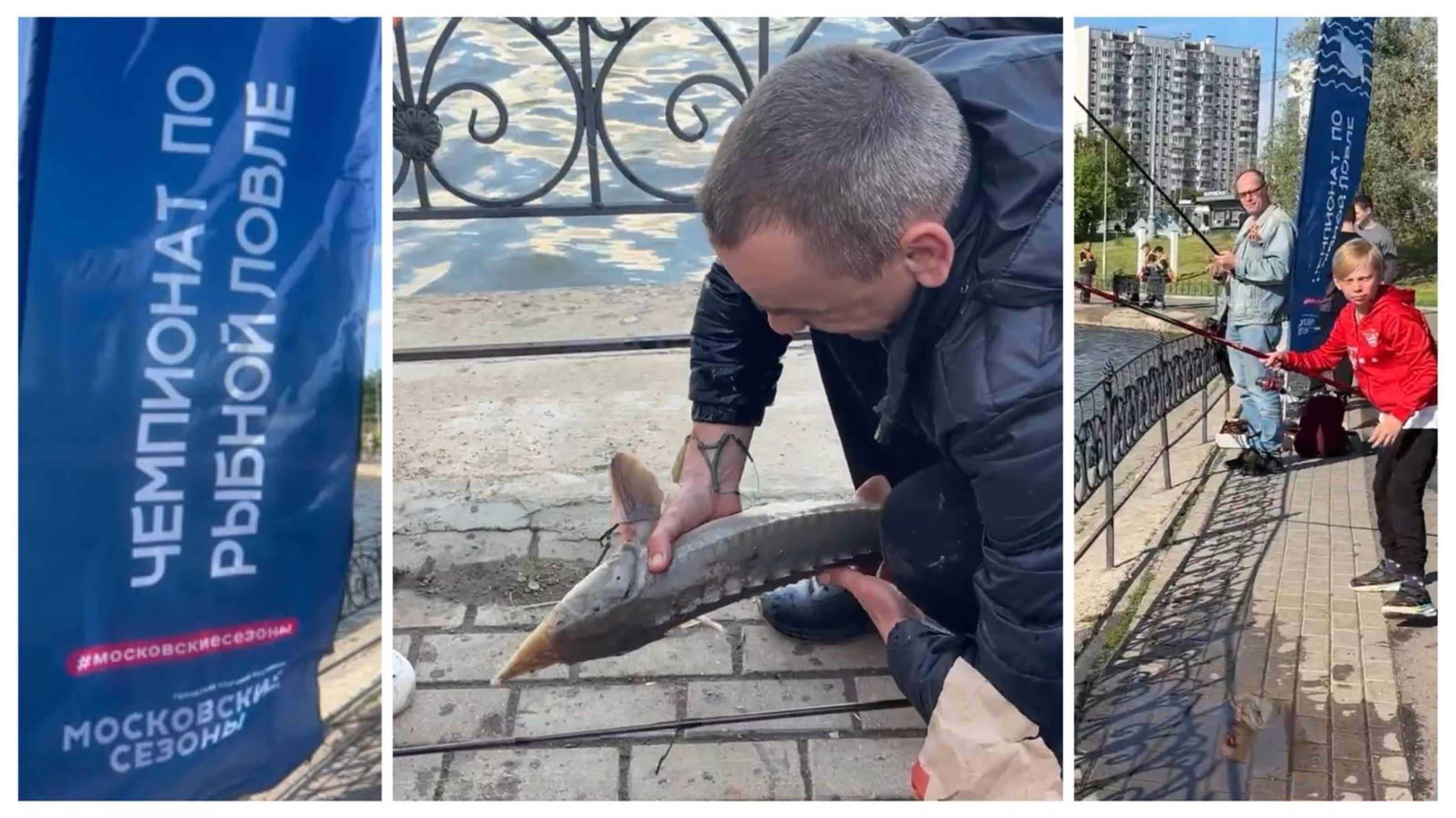 Осётр в московском пруду!  Чемпионат по рыбной ловле  в рамках "Рыбной недели" принёс сенсацию!