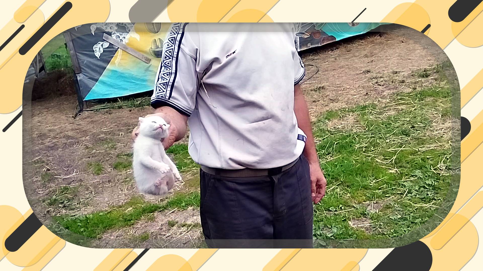 ХОЗЯЙСТВО РАЗМНОЖАЕТСЯ ПОД КАЖДЫМ КУСТОМ!4