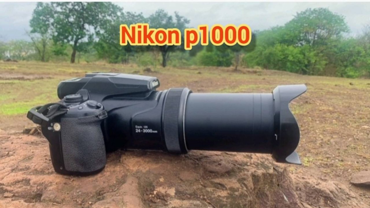 Nikon p1000 250х увеличение