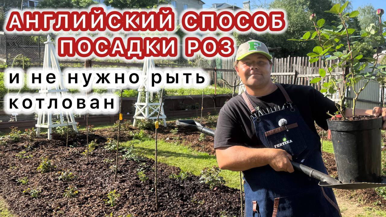 САЖАЮ РОЗЫ ПО-АНГЛИЙСКИ. Быстро, легко и спина не болит!