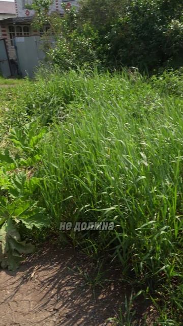 Знай законы — сэкономь на штрафах! Лайфхак для владельцев земли #земельный участок