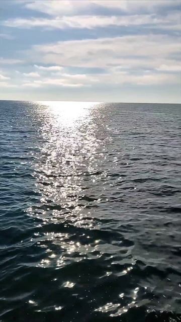 Красивый день, небо, 
облака со своим узором, 
изумрудное море волнуется, 
воздух такой приятный...