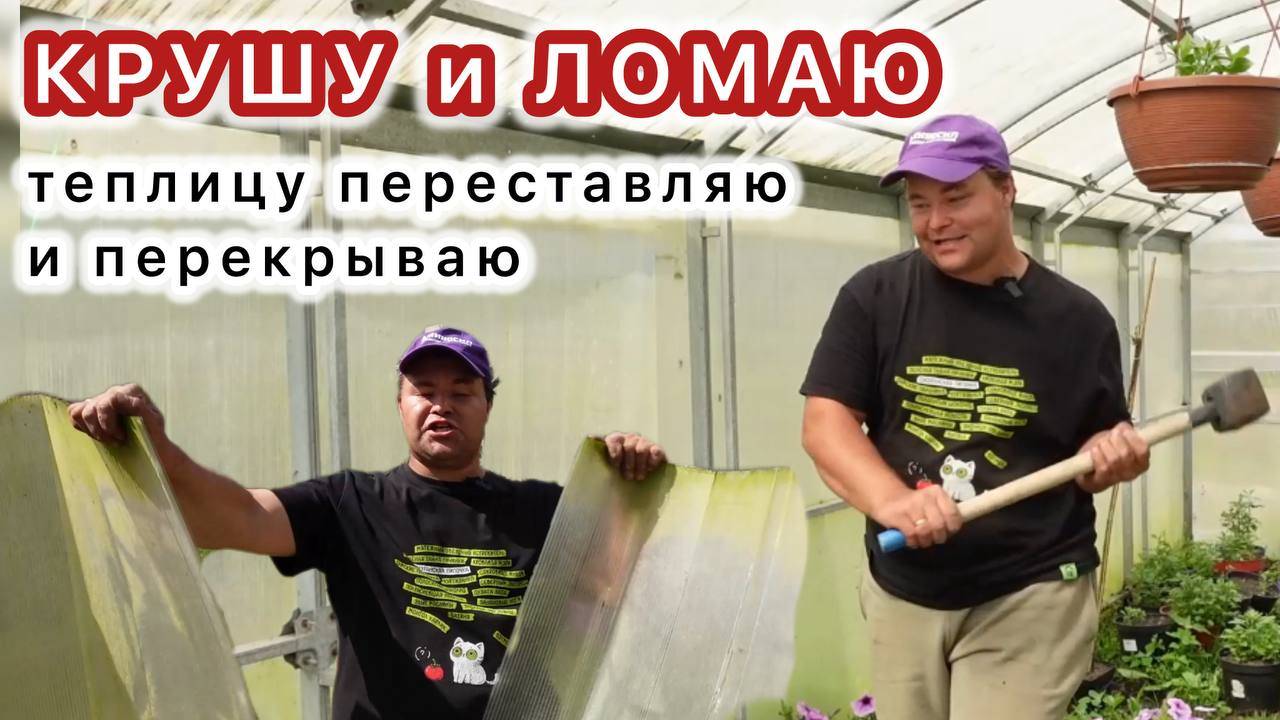 Решил перенести теплицу и вот что вышло.