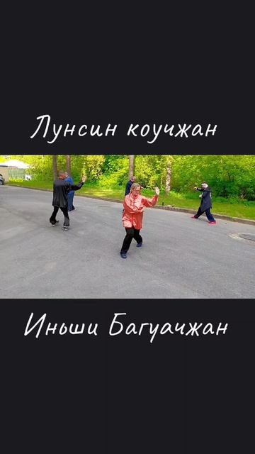 Лунсин коучжан Иньши багуачжан