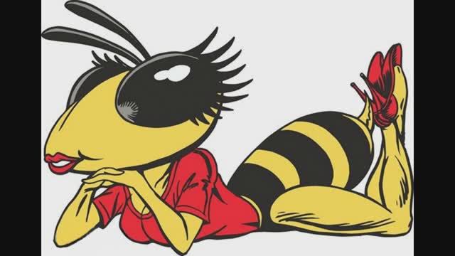 Секс по- пчелиному. Сборник анекдотов  №351.