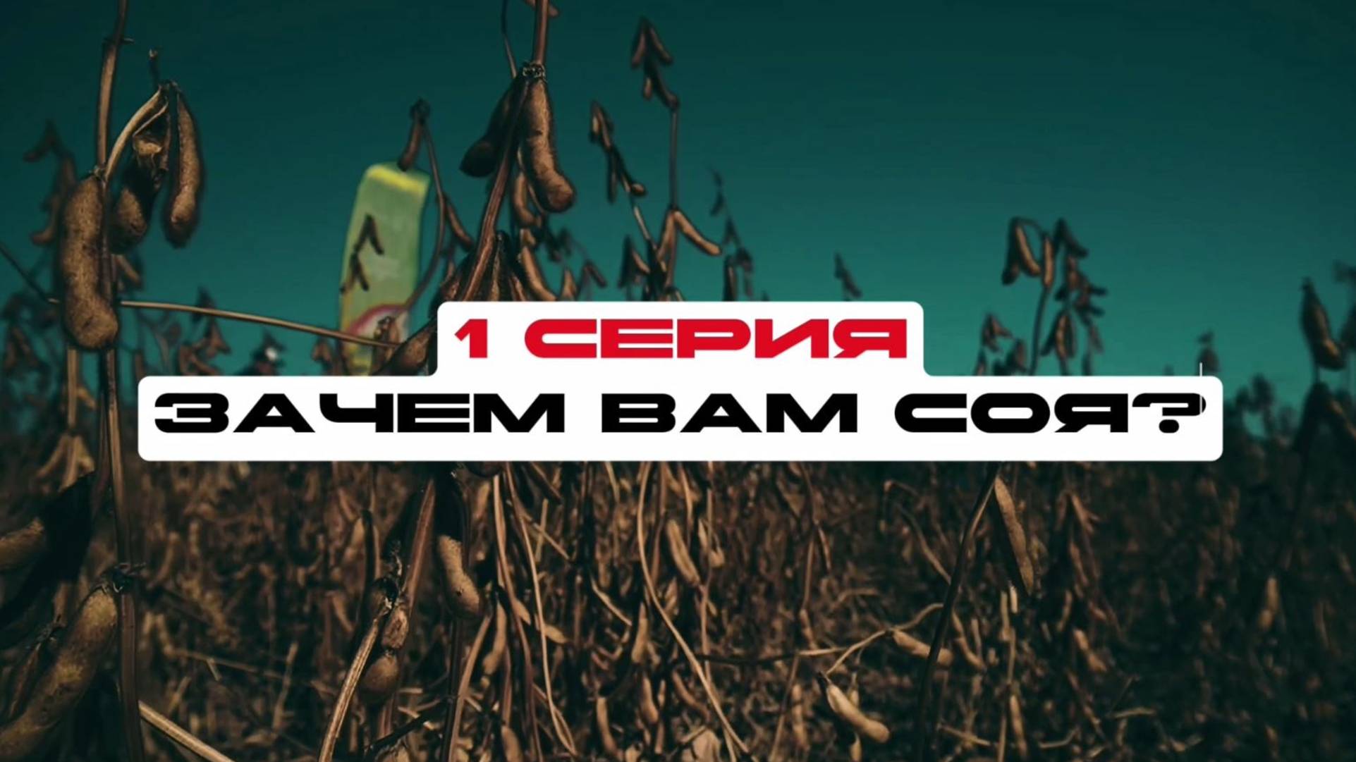 Соя с нуля. 1 серия. Зачем вам соя?