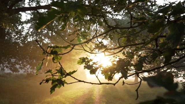 У ТЕБЯ СВОЯ ДОРОГА