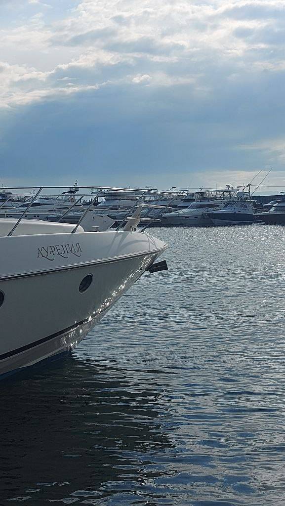 XVI выставка_Владивосток