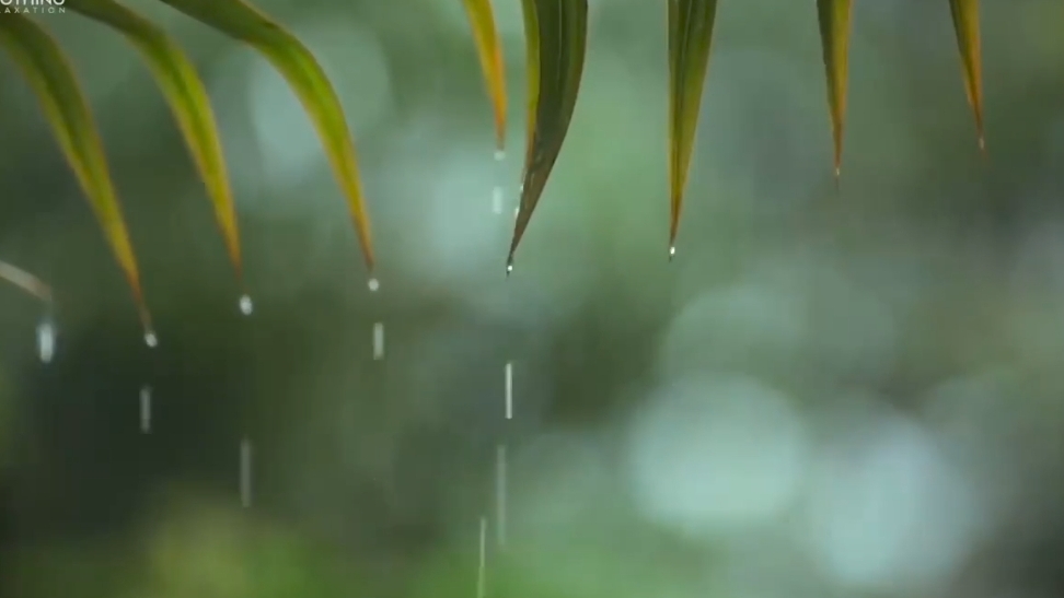 Звуки дождя, расслабляющая музыка, музыка для медитации и сна.