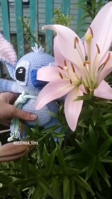 Ститч из полу хлопковой пряжи