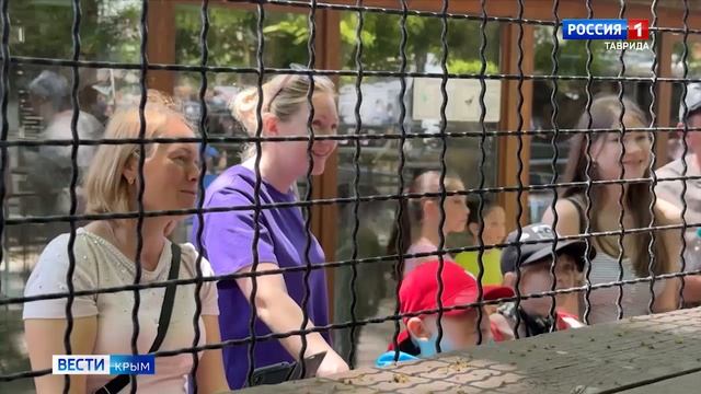 ВЕСТИ-КРЫМ «Звериные истории»: выпуск 04.06.2025