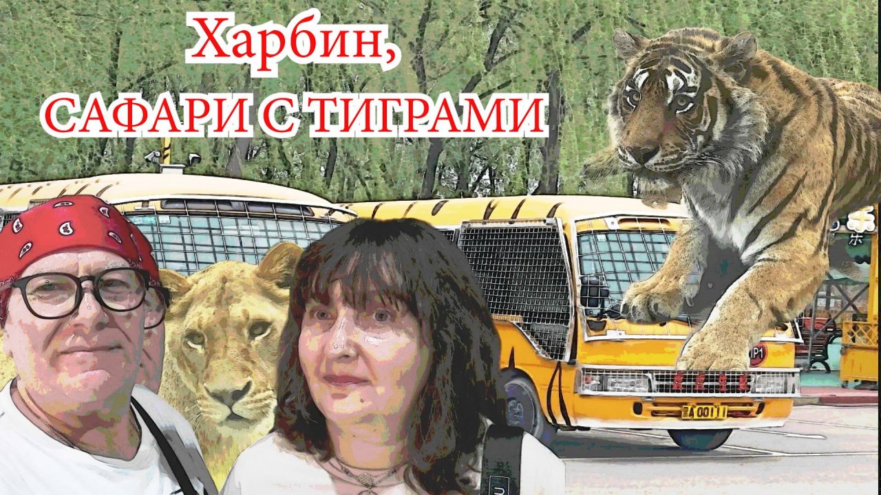Сафари с тиграми. Харбин, Китай