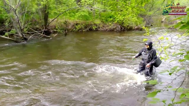 Рыбалка на ХАРИУСА, таежные речки Хабаровского края, 04.06.2025.