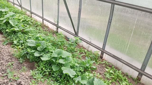 Маловато,но своё.