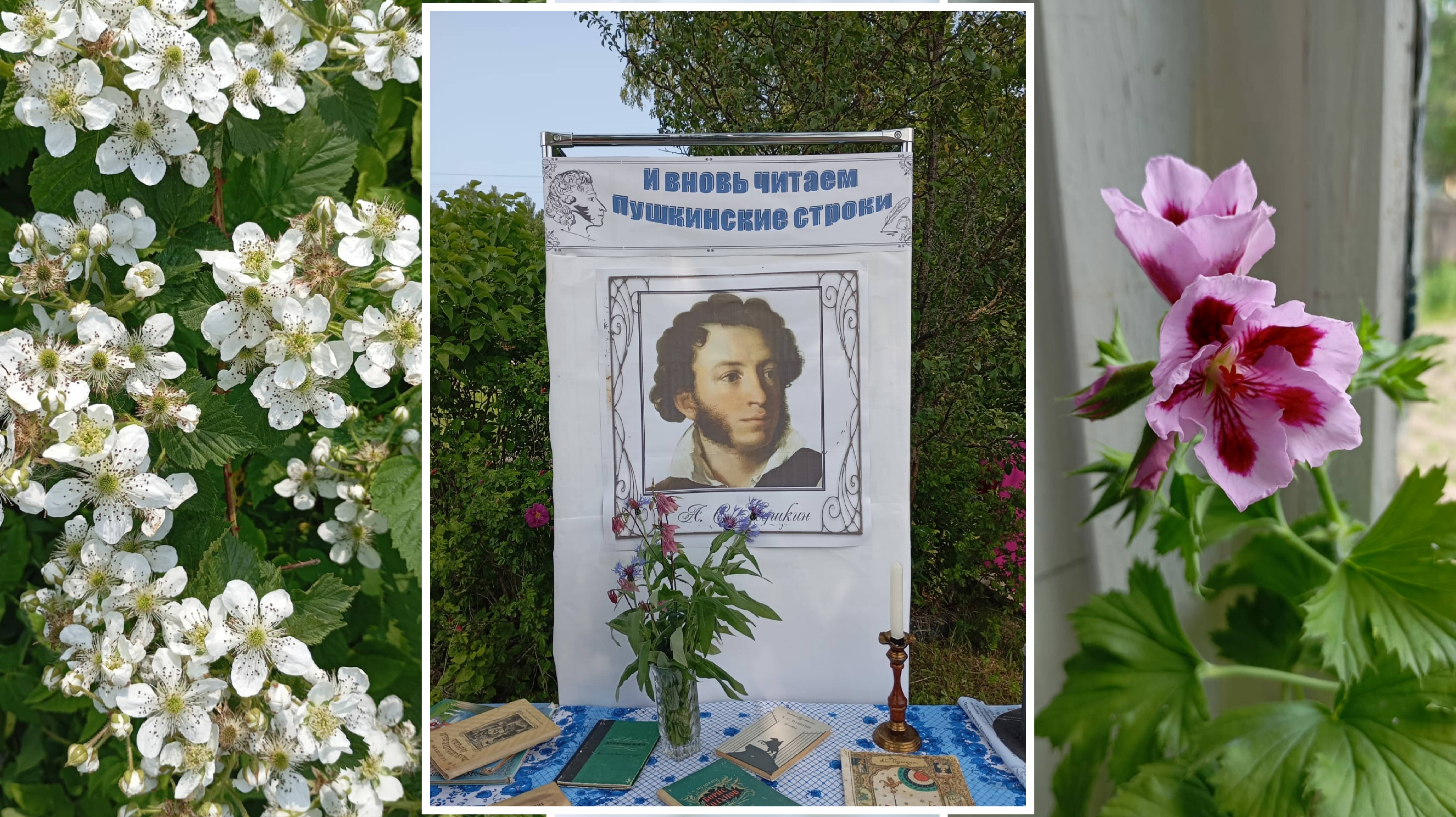 Праздник в деревне и немного о моих делах