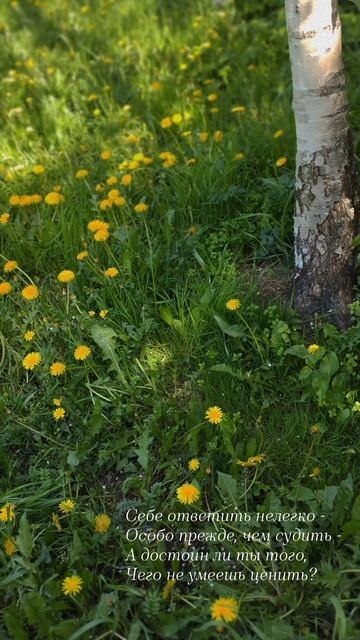 05.06.25 АЗ #ниднябезрифмы