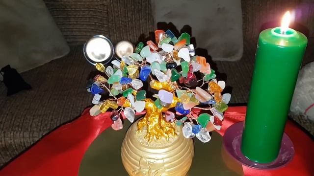 ДЕНЕЖНОЕ ДЕРЕВО