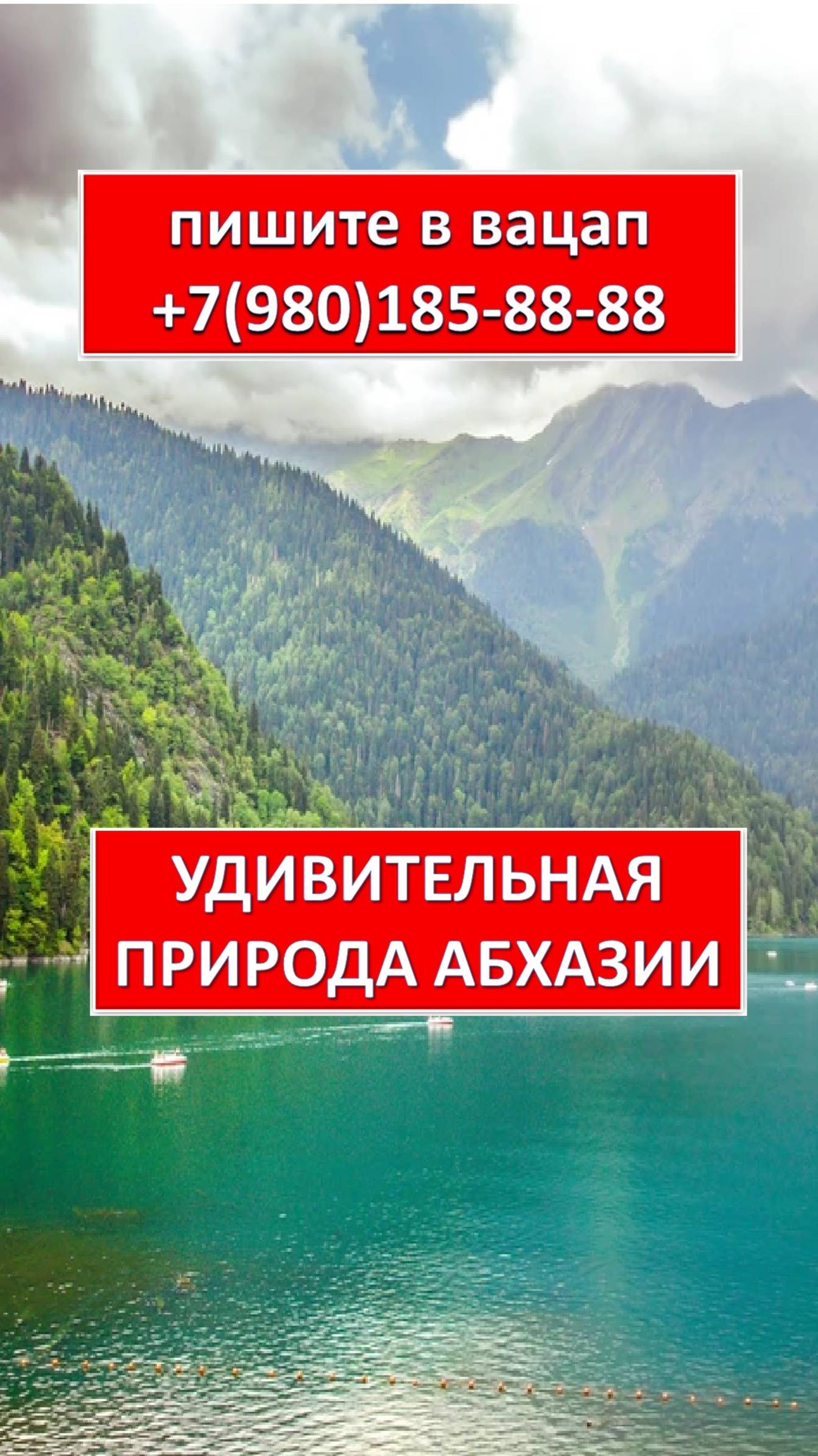 УДИВИТЕЛЬНАЯ ПРИРОДА АБХАЗИИ