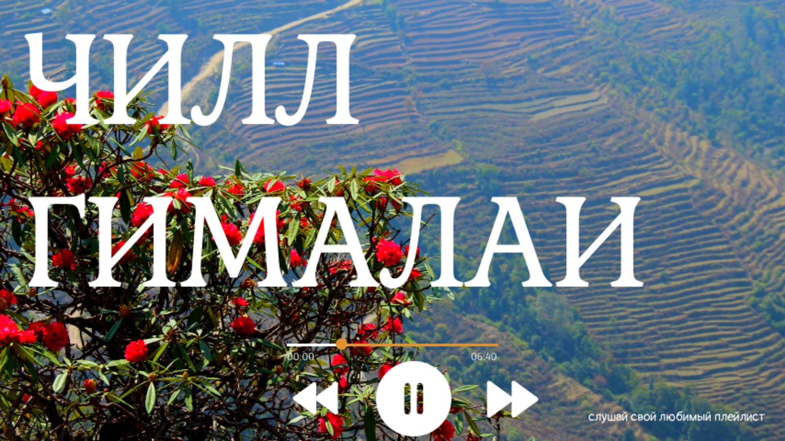 Релакс музыка, чилаут I ГИМАЛАИ в цветущих Рододендронах I релакс видео с успокаивающей музыкой