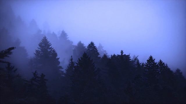 nothing but memories.