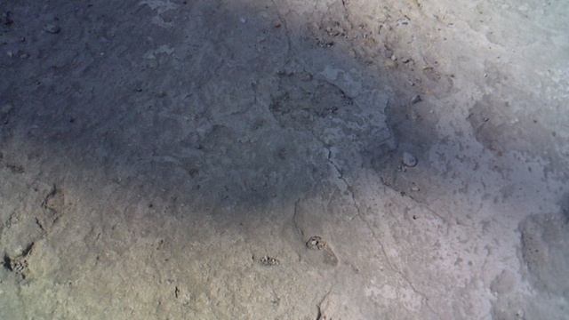 Иллюстрация вращения Земли (движения солнечного диска по небу)