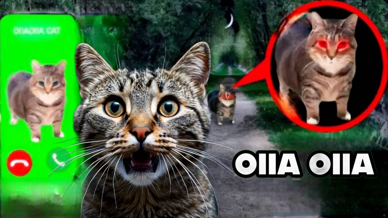 НИКОГДА НЕ ИЩИ OIIAOIIA CAT в интернете! **проклятый кот**