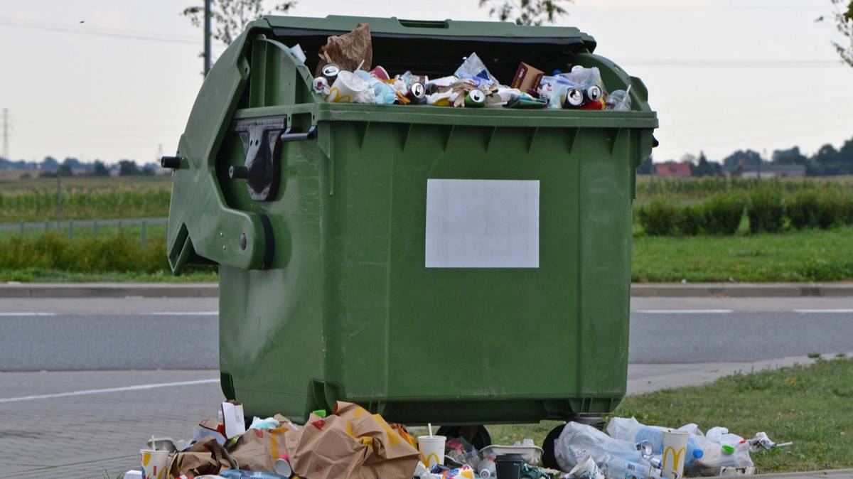 Как не получить штраф за утилизацию крупногабаритного мусора