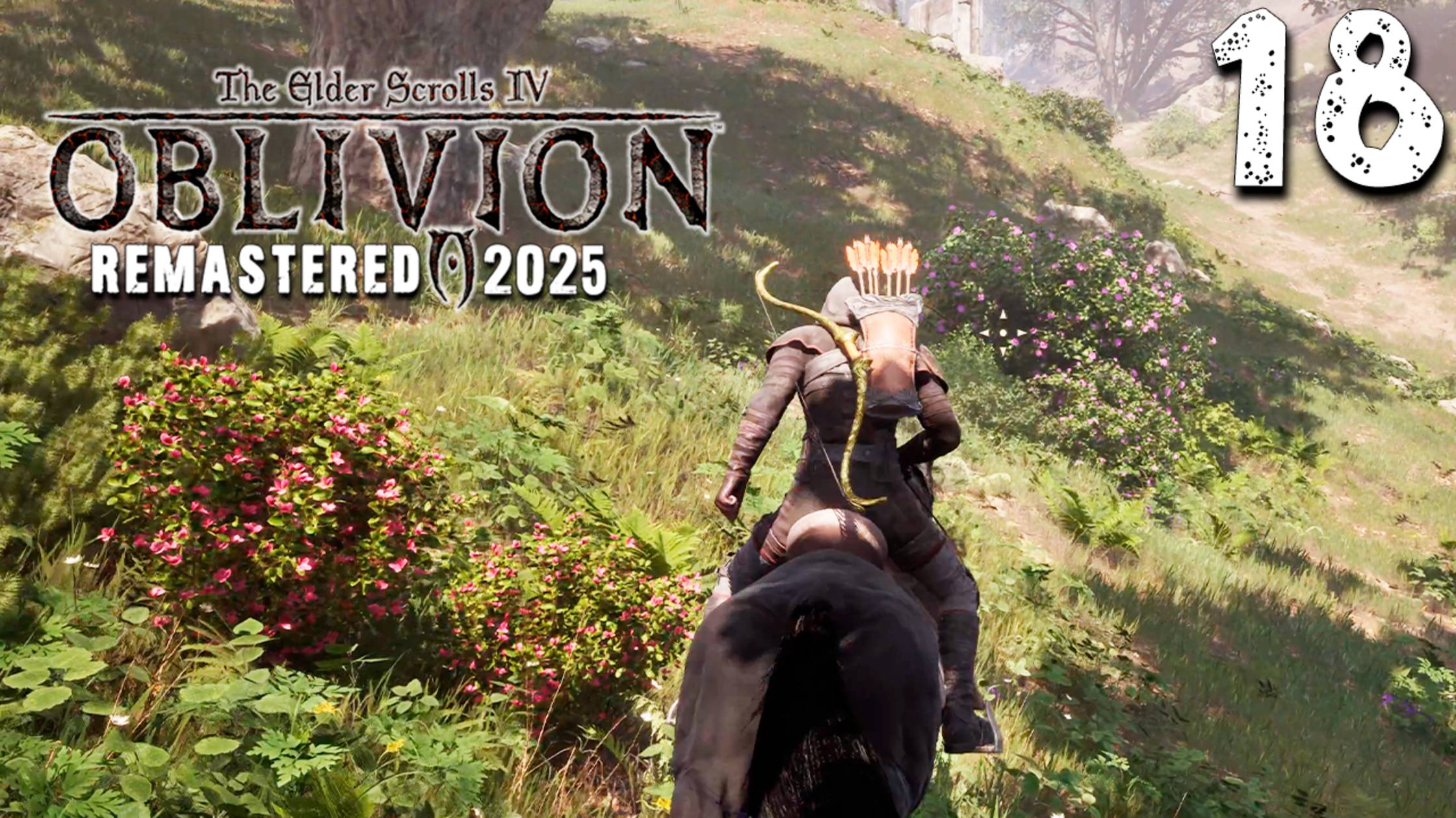 КОНТРАКТЫ ИЗ ТАЙНИКОВ (18) ► The Elder Scrolls IV Oblivion Remastered