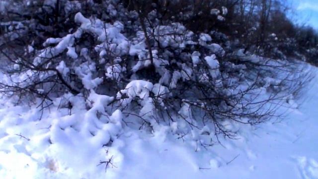 ВЛОГ ГУЛЯЮ НА МОРОЗЕ, БАБУ МАРТУ ВСТРЕТИЛ 01.03.2018