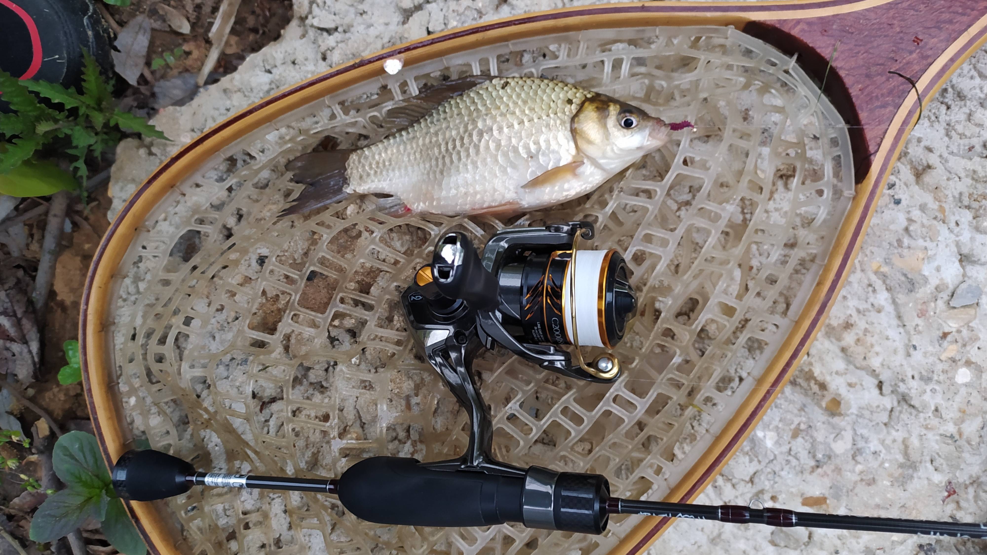 МОРМЫШИНГ. Домашний водоем, две вечерние майские рыбалки
