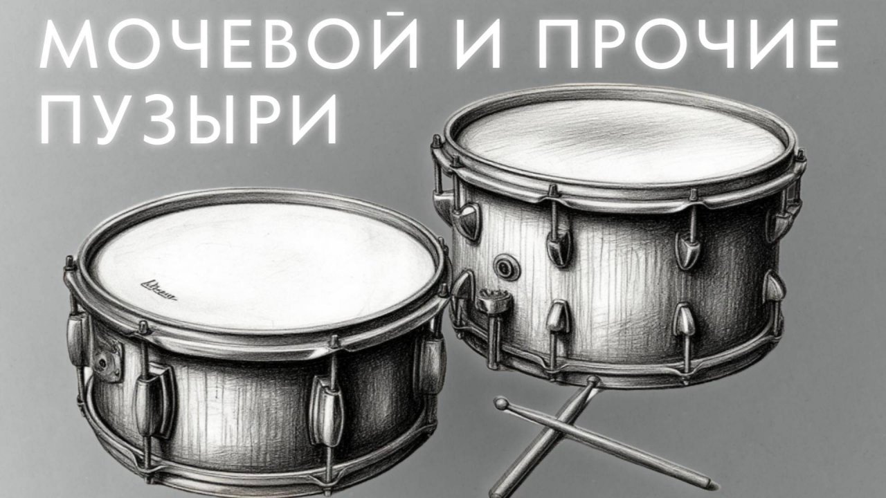 20. Мочевой и прочие пузыри