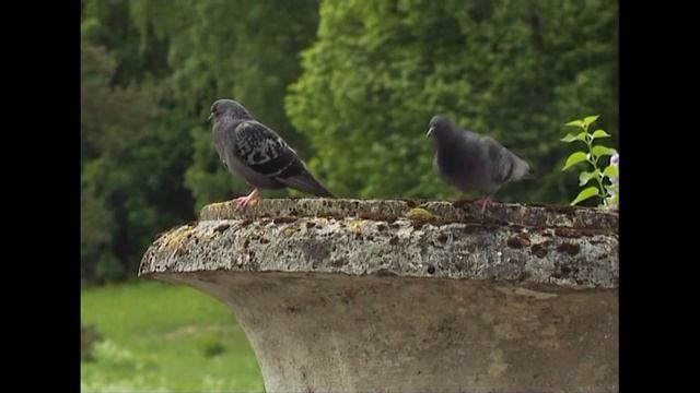Литературный стендап по страницам "Маленьких трагедий" А.С. Пушкина