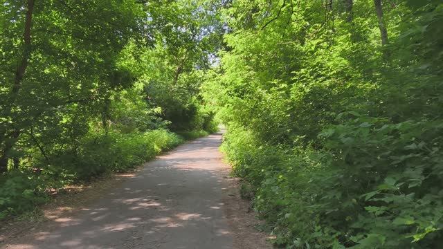 4K 60fps SDR bt -709|ЛЕС В Станице-Луганской Области.