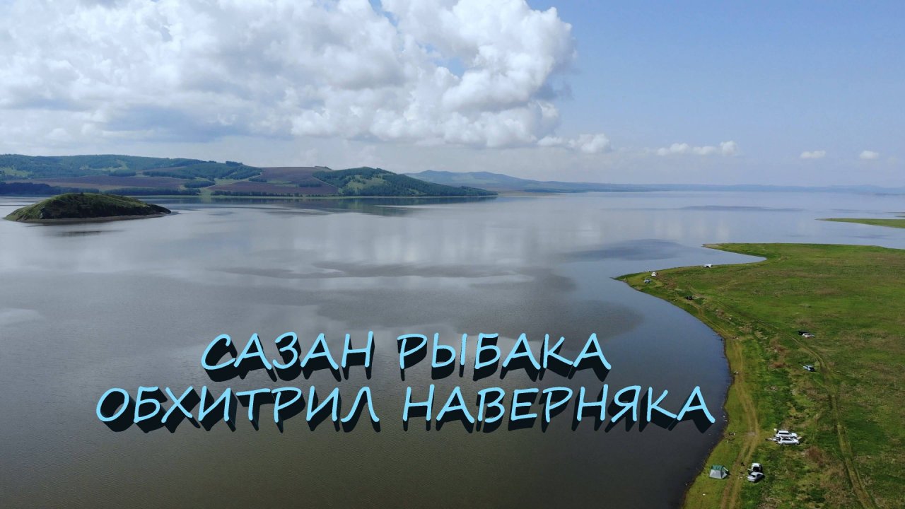 ЛОВЛЯ САЗАНА 2025 | СЫДА | ЗМЕЁВКА