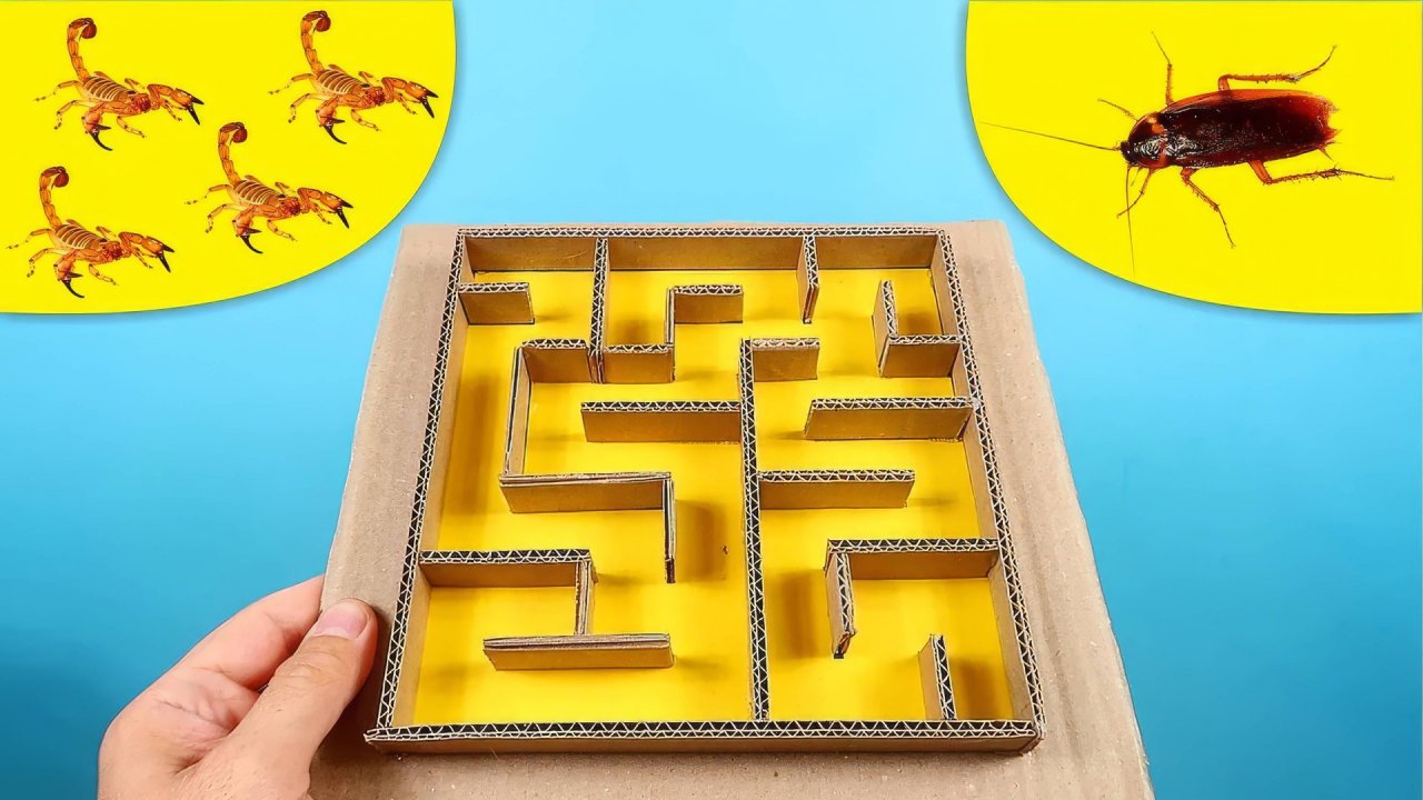 ЧТО ЕСЛИ МАЛЫШИ СКОРПИОНЫ И ТАРАКАН ПОПАДУТ В ЛАБИРИНТ?