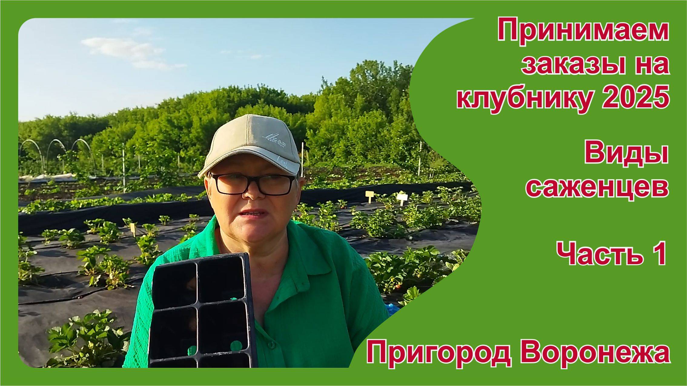 Клубника. Принимаем заказы на июль