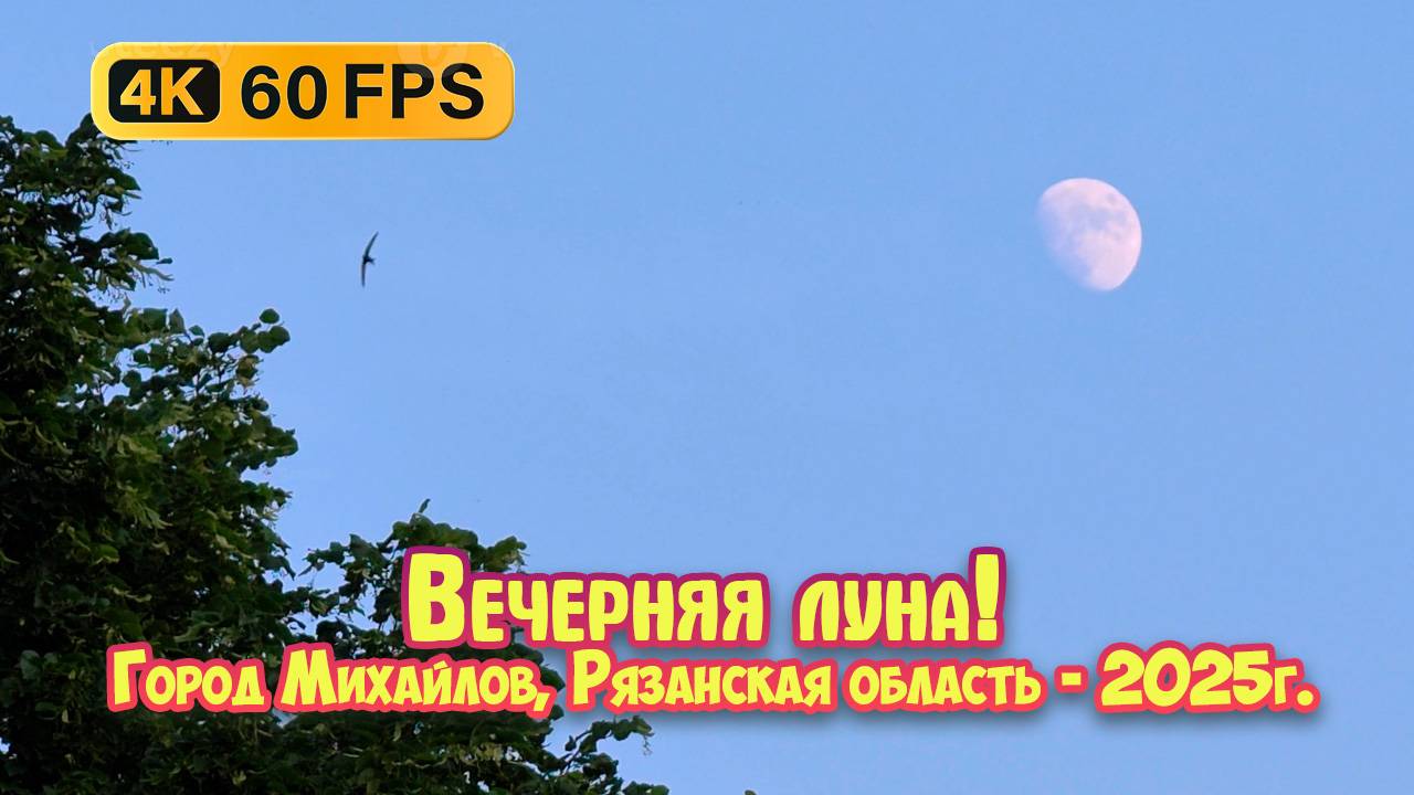 Вечерняя луна в городе Михайлове, Рязанская область. 4К