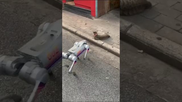 Ставрополь. Нашествие роботов